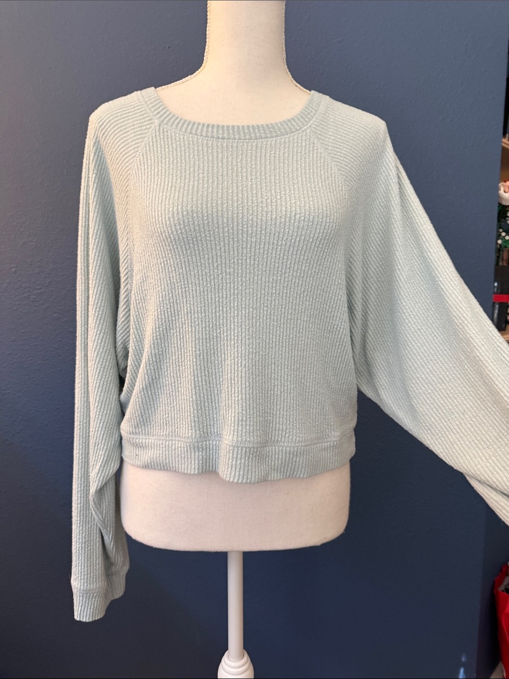 Altar'd State Pale Sage Crewneck Ribbed Pullover